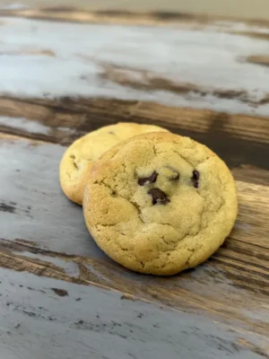 Brody’s Favorite Chocolate Chip