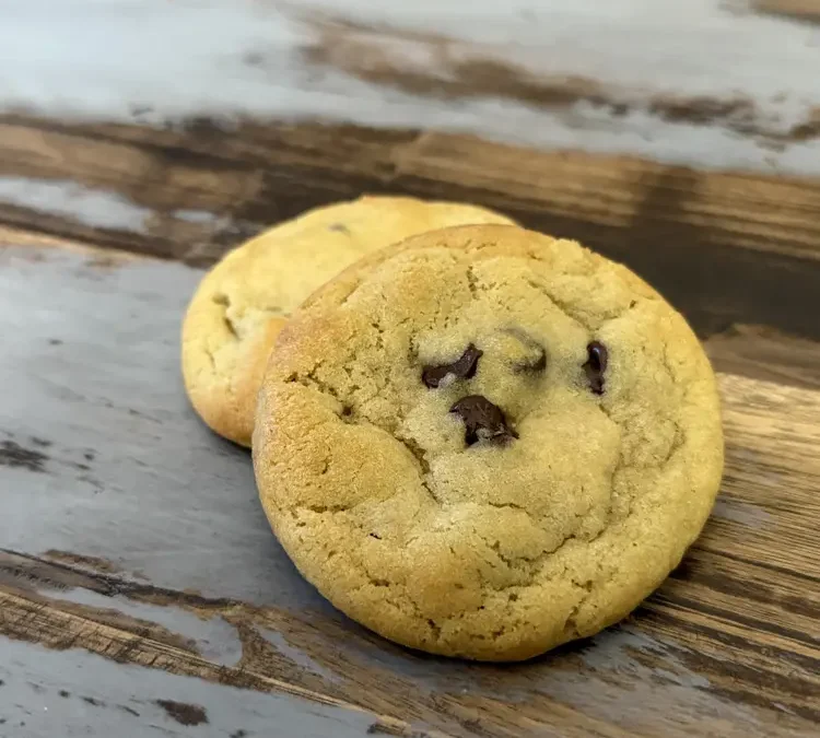 Brody’s Favorite Chocolate Chip